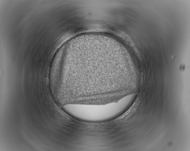 X0000098091409200805021035