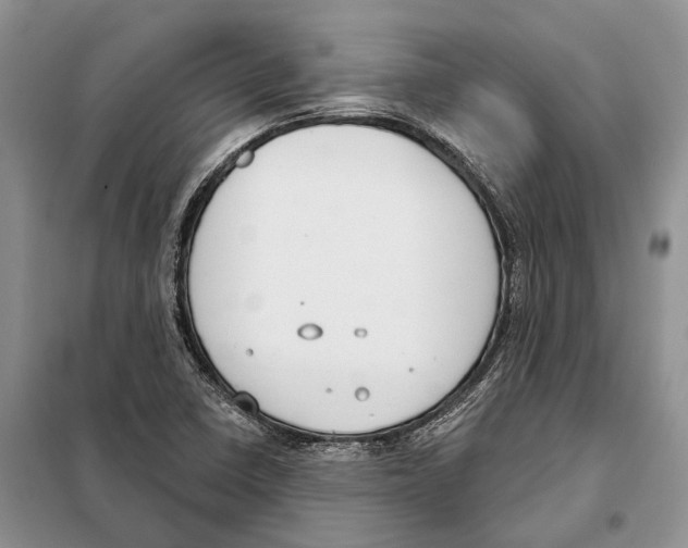 X0000098091410200805021035