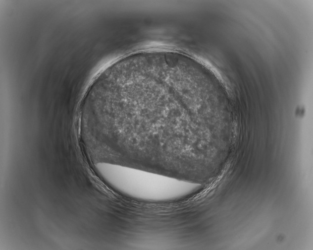 X0000098091413200805021035