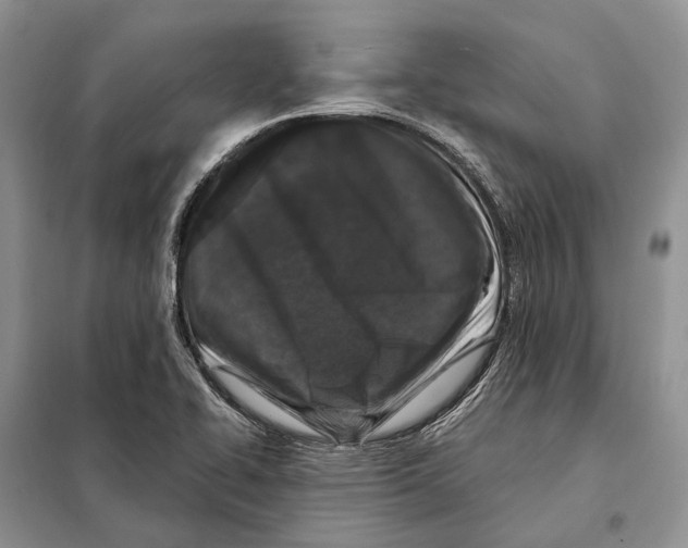 X0000098091414200805021035