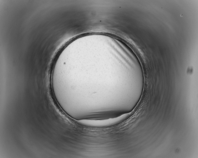 X0000098091416200805021035