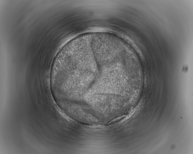 X0000098091417200805021035