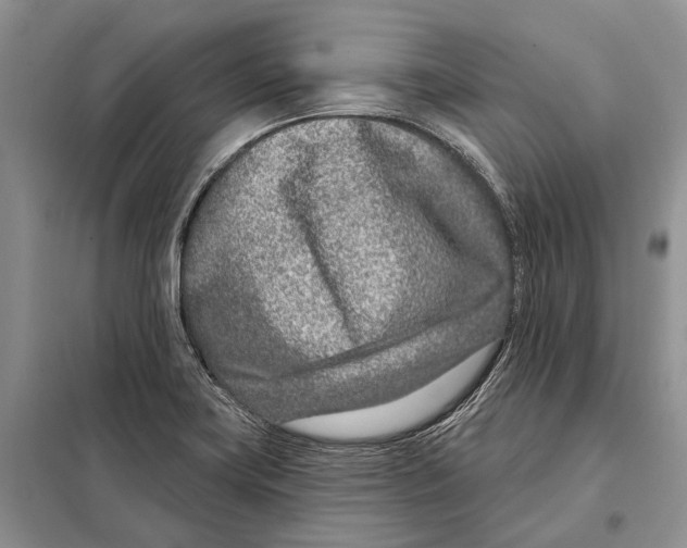 X0000098091419200805021035