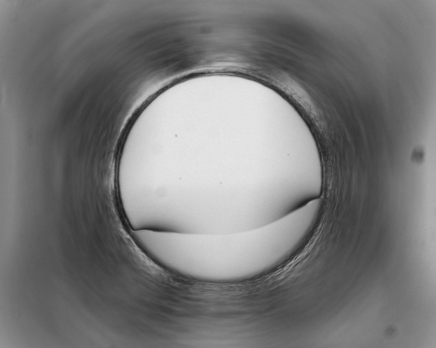 X0000098091420200805021035