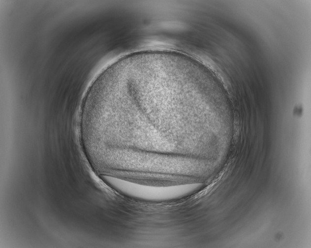 X0000098091421200805021035