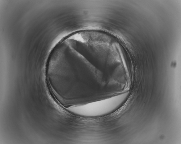 X0000098091422200805021035