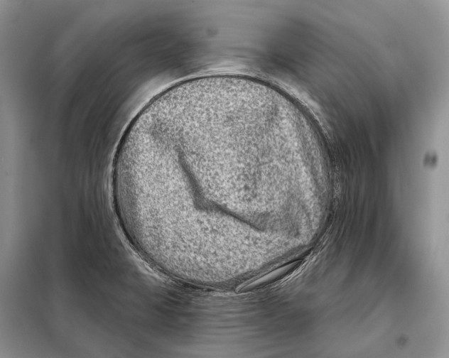 X0000098091423200805021035