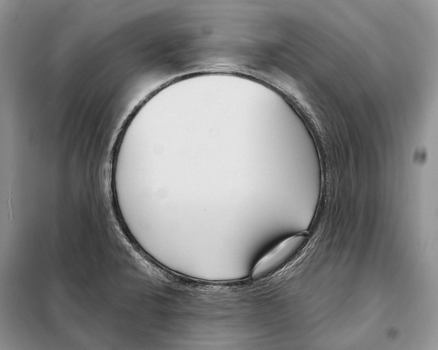 X0000098091424200805021035