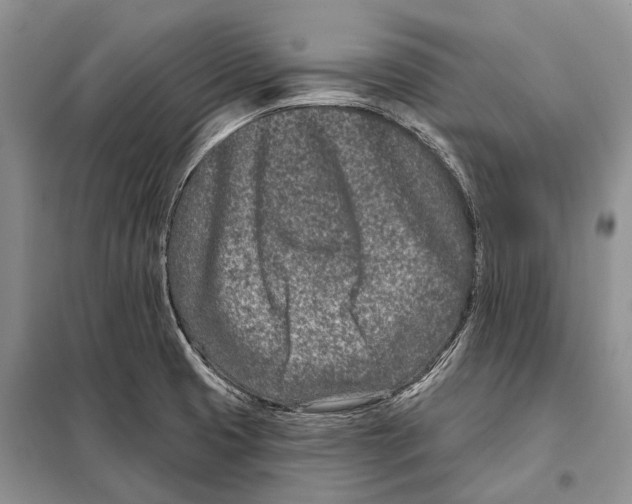 X0000098091425200805021035