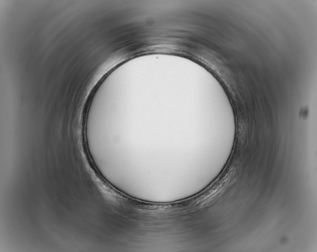 X0000098091426200805021035