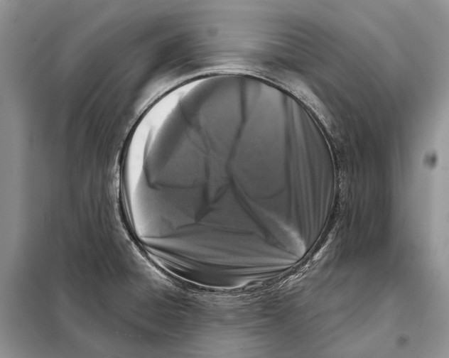 X0000098091428200805021035