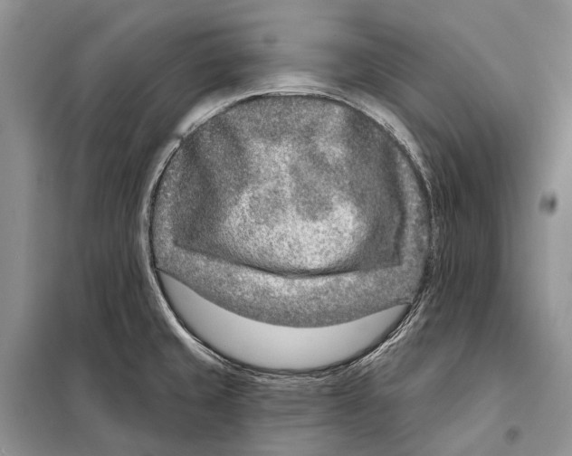 X0000098091429200805021035