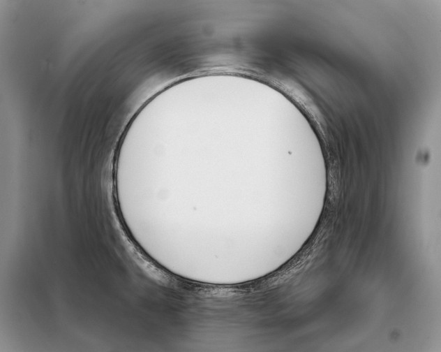 X0000098091431200805021035