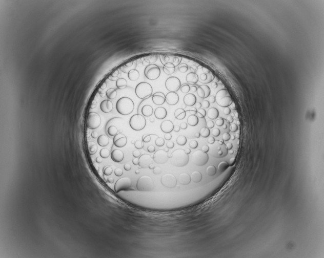 X0000098091432200805021035