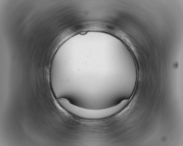 X0000098091433200805021035