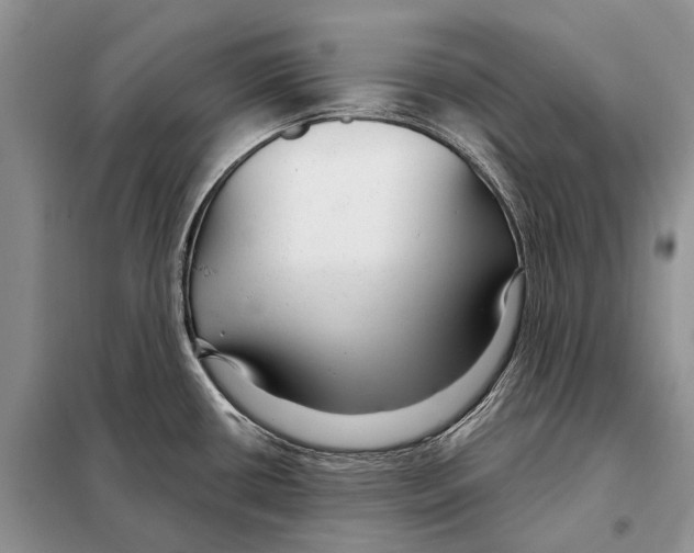 X0000098091434200805021035