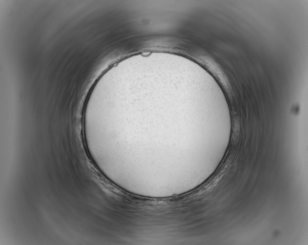 X0000098091435200805021035