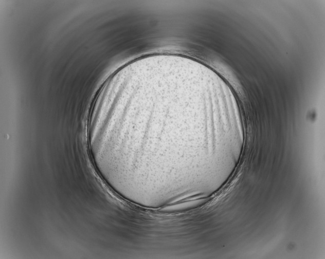 X0000098091436200805021035