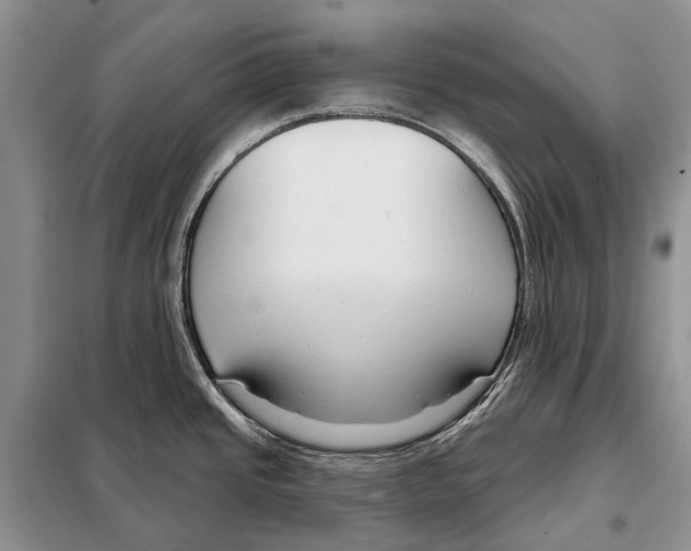 X0000098091437200805021035