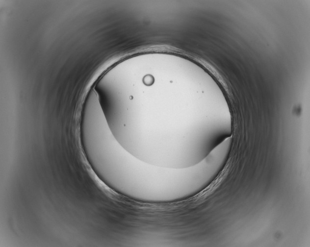 X0000098091438200805021035