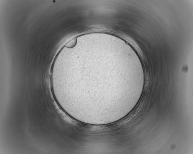 X0000098091439200805021035