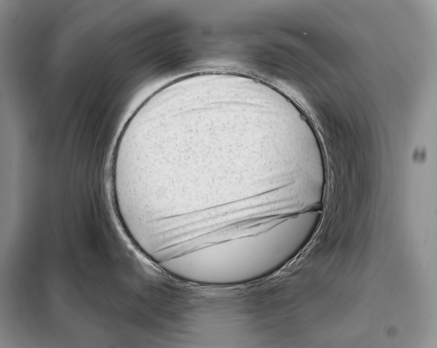 X0000098091440200805021035