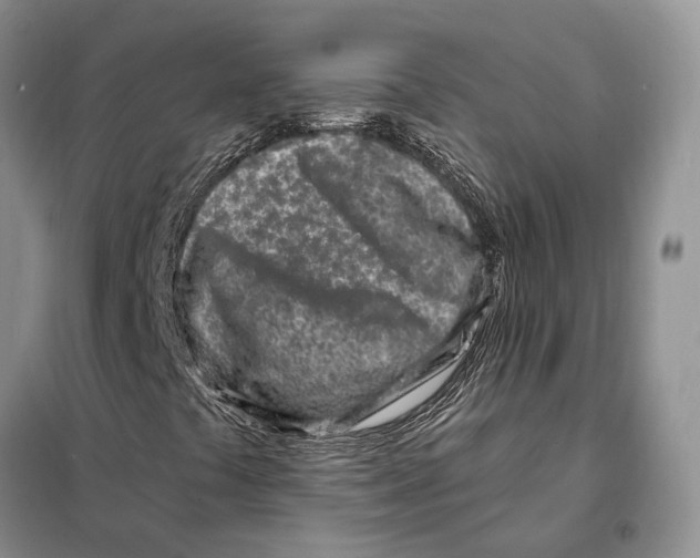 X0000098091441200805021035