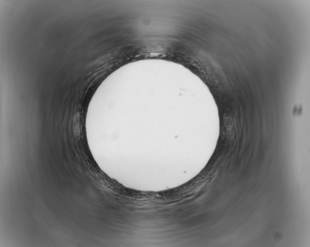 X0000098091442200805021035