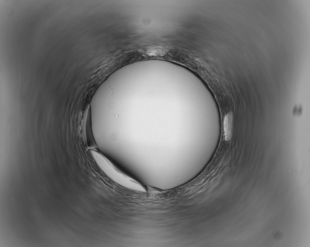 X0000098091443200805021035