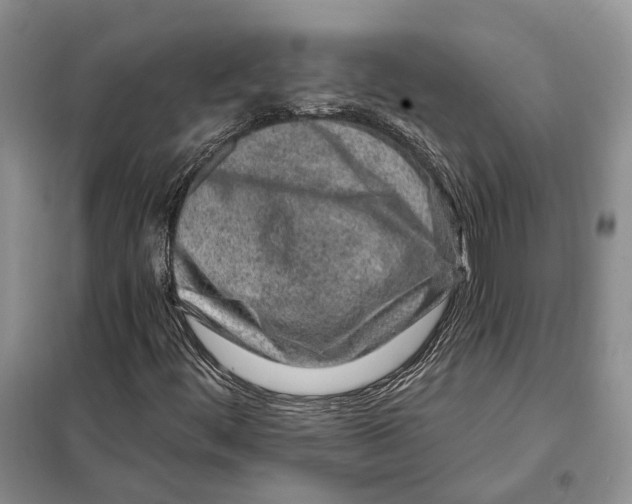 X0000098091444200805021035