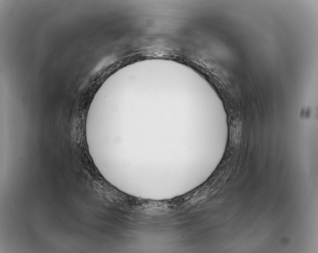 X0000098091446200805021035