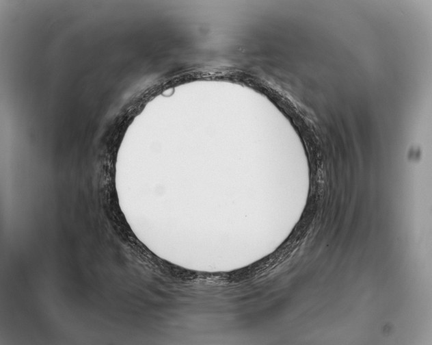 X0000098091447200805021035