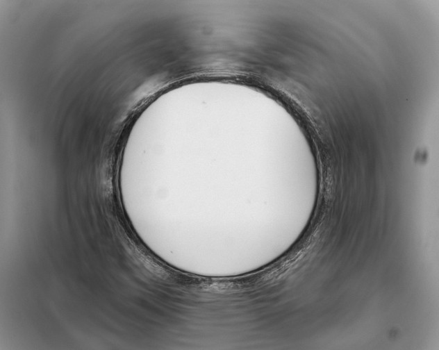 X0000098091451200805021034