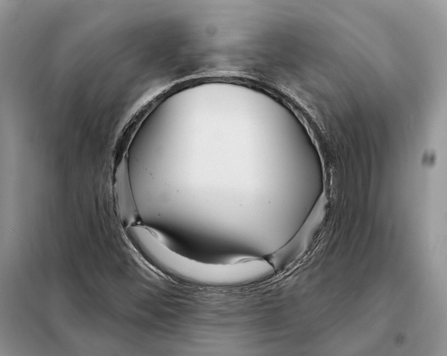 X0000098091452200805021034