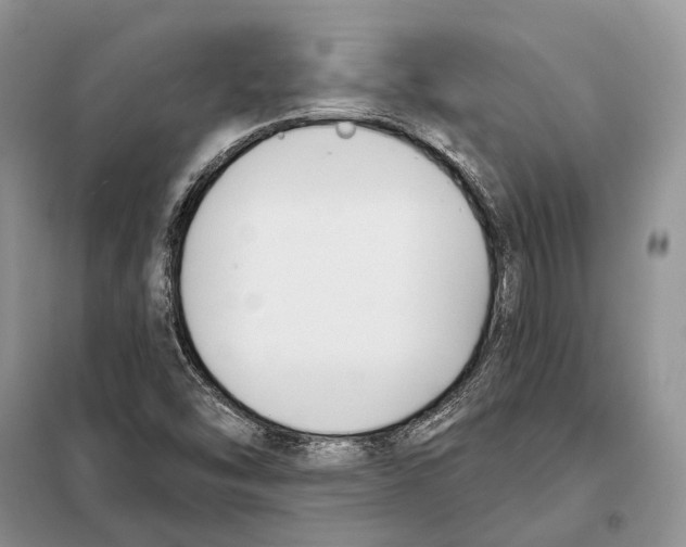 X0000098091454200805021034