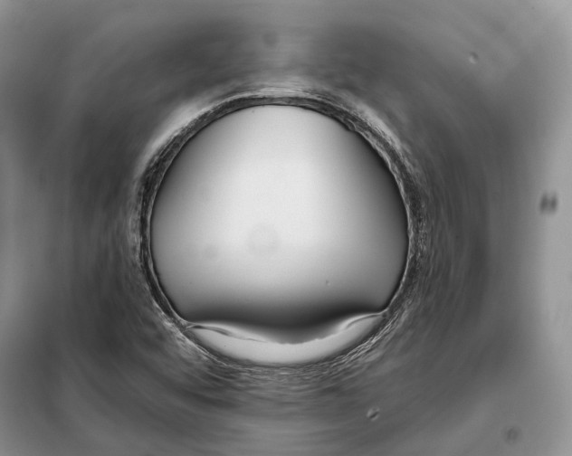 X0000098091456200805021034