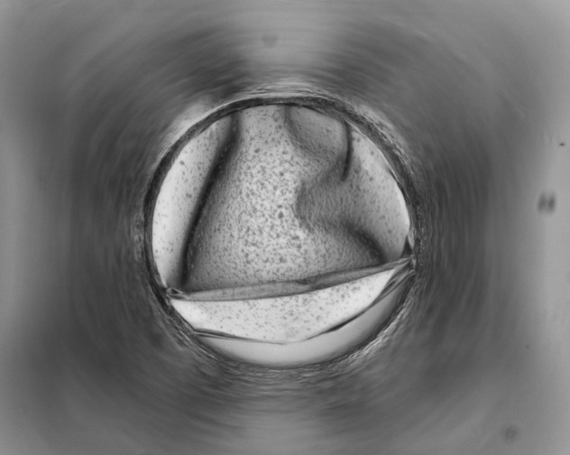 X0000098091457200805021034