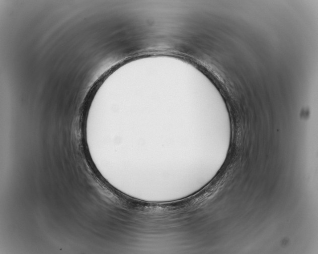 X0000098091458200805021034