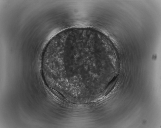 X0000098091459200805021034