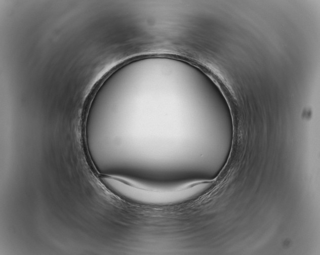 X0000098091460200805021034