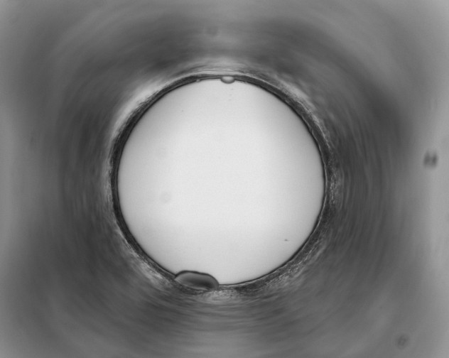 X0000098091464200805021034