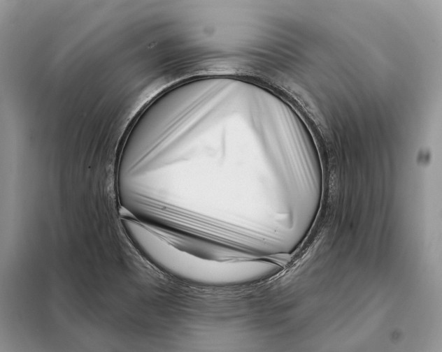 X0000098091465200805021034