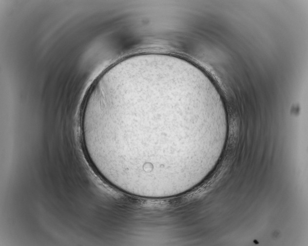 X0000098091466200805021034