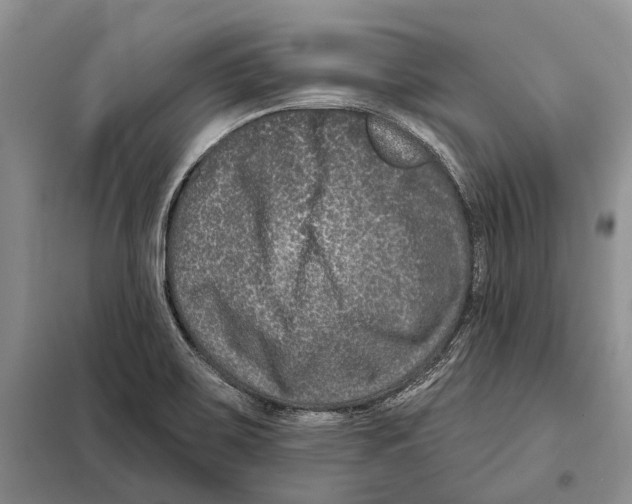 X0000098091467200805021034