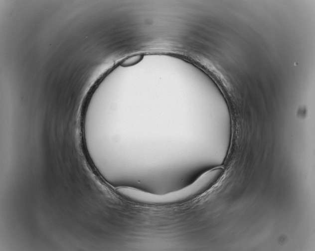 X0000098091469200805021034