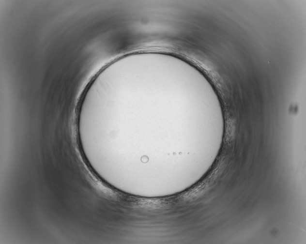 X0000098091470200805021034