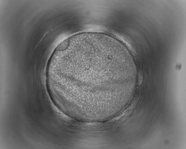 X0000098091471200805021034