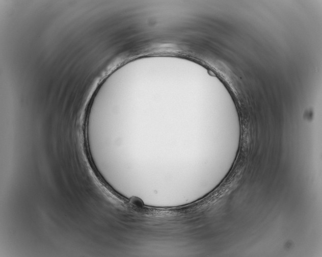 X0000098091475200805021034