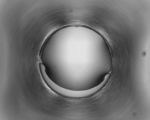 X0000098091476200805021034