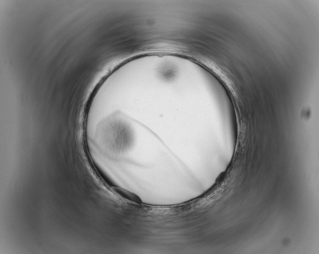 X0000098091477200805021034